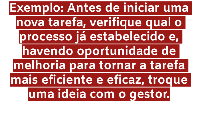 Exemplo: Antes de iniciar uma nova tarefa, verifique qual o processo j estabelecido e, havendo oportunidade de melho...