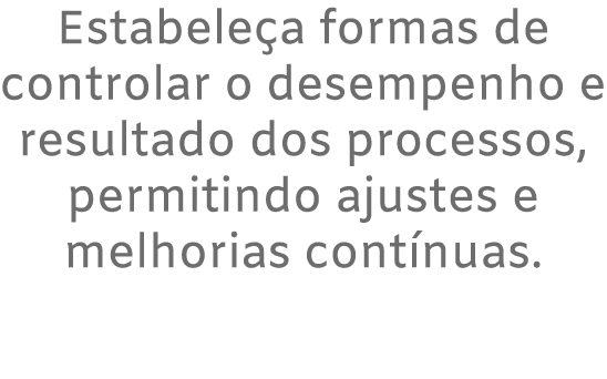 Estabele a formas de controlar o desempenho e resultado dos processos, permitindo ajustes e melhorias cont nuas.