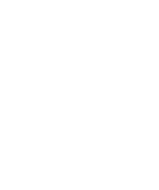 Para cada uma dessas diretrizes teremos desafios com metas para serem seguidas e que ser o orientados pelo seu l der....