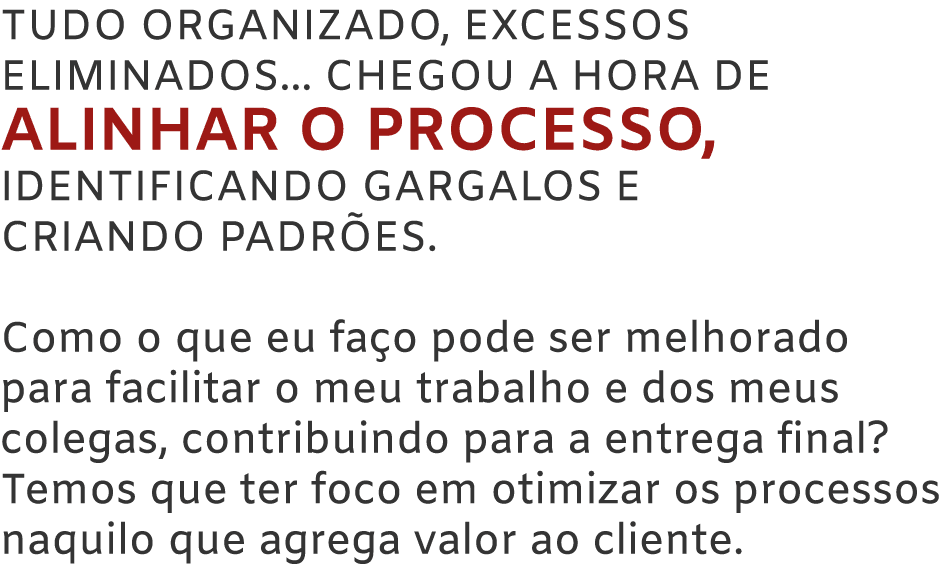 Tudo organizado, excessos eliminados... chegou a hora de ALINHAR o processo, identificando gargalos e criando padr es...